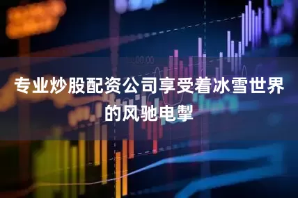 专业炒股配资公司享受着冰雪世界的风驰电掣