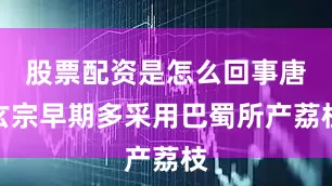 股票配资是怎么回事唐玄宗早期多采用巴蜀所产荔枝
